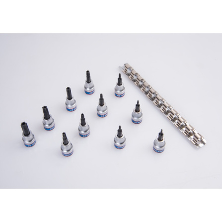 3/8 sada hlavic TORX s otvorem T8-T50, kolejnice, 11 ks